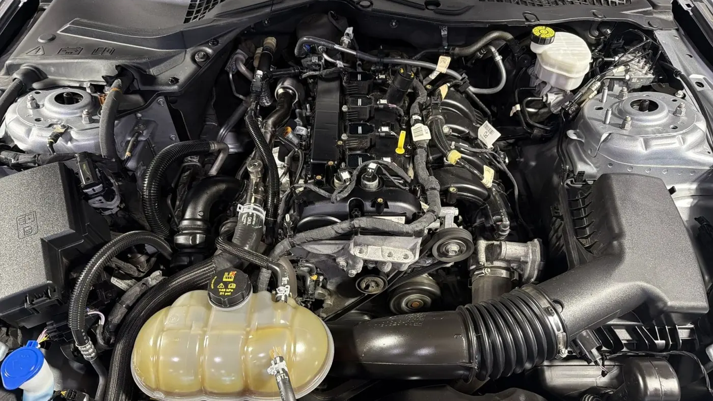 2022 Ford Mustang EcoBoost