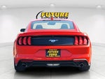 2023 Mustang Thumbnail 5