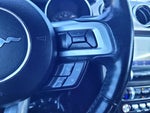 2023 Mustang Thumbnail 23