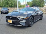 2023 Mustang Thumbnail 3