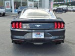 2023 Mustang Thumbnail 6