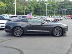 2023 Mustang Thumbnail 8