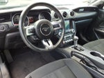 2023 Mustang Thumbnail 11