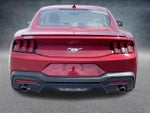 2024 Mustang Thumbnail 19