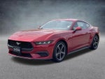 2024 Mustang Thumbnail 22