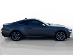 2024 Mustang Thumbnail 6