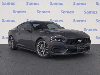 Photo of a 2024 Ford Mustang Ecoboost 2DR Fastback for sale