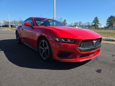 2024 Ford Mustang Ecoboost Premium 2DR Fastback