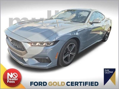2024 Ford Mustang Ecoboost Premium 2DR Fastback