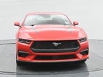 2024 Mustang Thumbnail 20