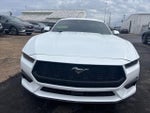 2025 Mustang Thumbnail 22