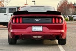 2016 Mustang Thumbnail 7