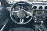2016 Mustang Thumbnail 14