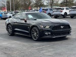 2017 Mustang Thumbnail 7
