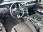 2017 Mustang Thumbnail 15