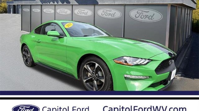 Preowned 2019 Ford Mustang EcoBoost for Sale