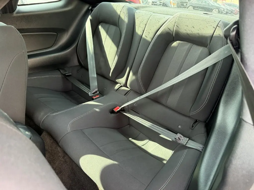 2019 Ford Mustang - $22,996
