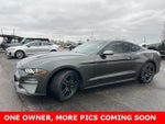 2019 Mustang Thumbnail 1