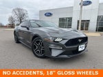 2019 Mustang Thumbnail 3