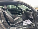 2019 Mustang Thumbnail 4