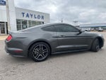 2019 Mustang Thumbnail 13