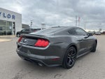 2019 Mustang Thumbnail 14