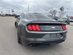 2019 Mustang Thumbnail 17