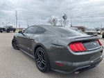 2019 Mustang Thumbnail 18
