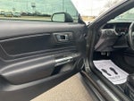 2019 Mustang Thumbnail 21