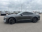 2019 Mustang Thumbnail 23