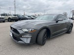2019 Mustang Thumbnail 24