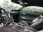 2019 Mustang Thumbnail 27