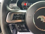 2019 Mustang Thumbnail 30