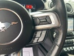 2019 Mustang Thumbnail 31