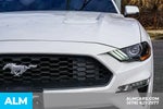 2020 Mustang Thumbnail 12
