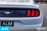2020 Mustang Thumbnail 13