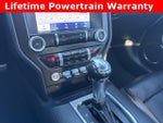 2021 Mustang Thumbnail 4