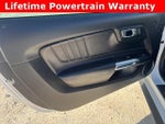 2021 Mustang Thumbnail 18
