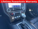 2021 Mustang Thumbnail 4