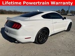 2021 Mustang Thumbnail 6