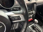 2021 Mustang Thumbnail 15