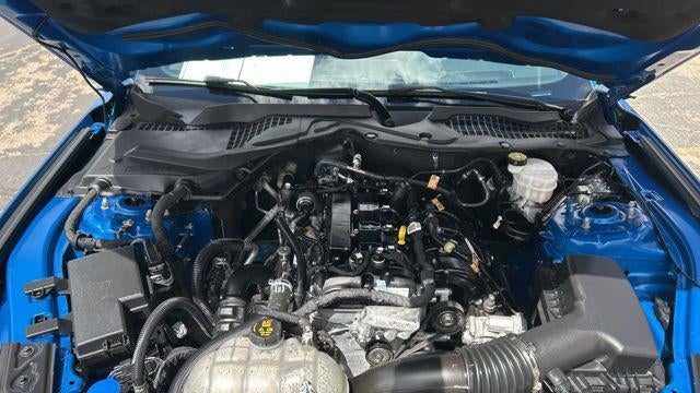 2021 Ford Mustang EcoBoost