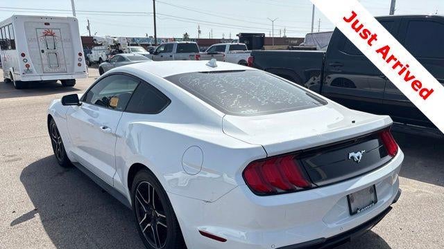 2021 Ford Mustang EcoBoost
