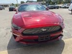 2021 Mustang Thumbnail 9