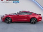 2022 Mustang Thumbnail 1