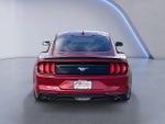 2022 Mustang Thumbnail 3
