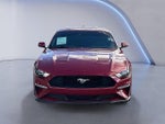 2022 Mustang Thumbnail 4