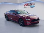 2022 Mustang Thumbnail 22