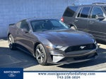 2022 Mustang Thumbnail 1