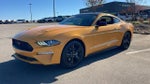 2022 Mustang Thumbnail 3